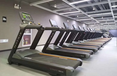 免费婬荡婬色APP蜜桃视频 